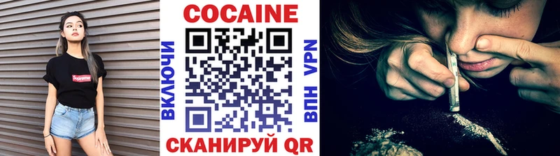 наркошоп  Новосиль  COCAIN FishScale 