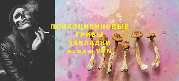 сатива Абинск