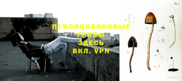 сатива Абинск