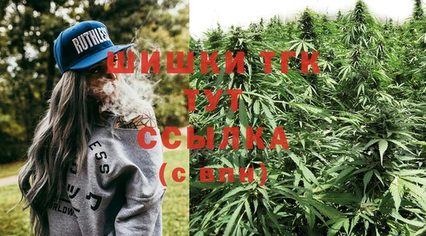 сатива Абинск
